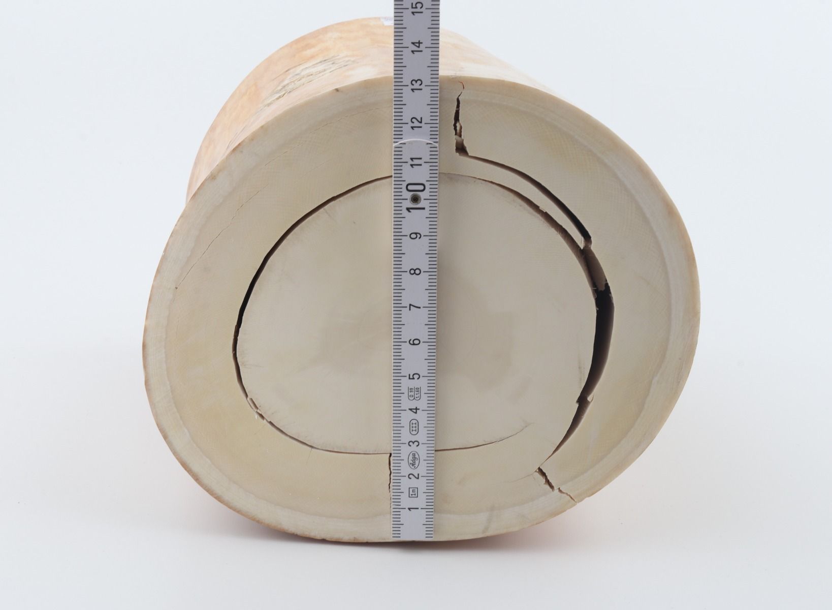 Round mammoth ivory piece