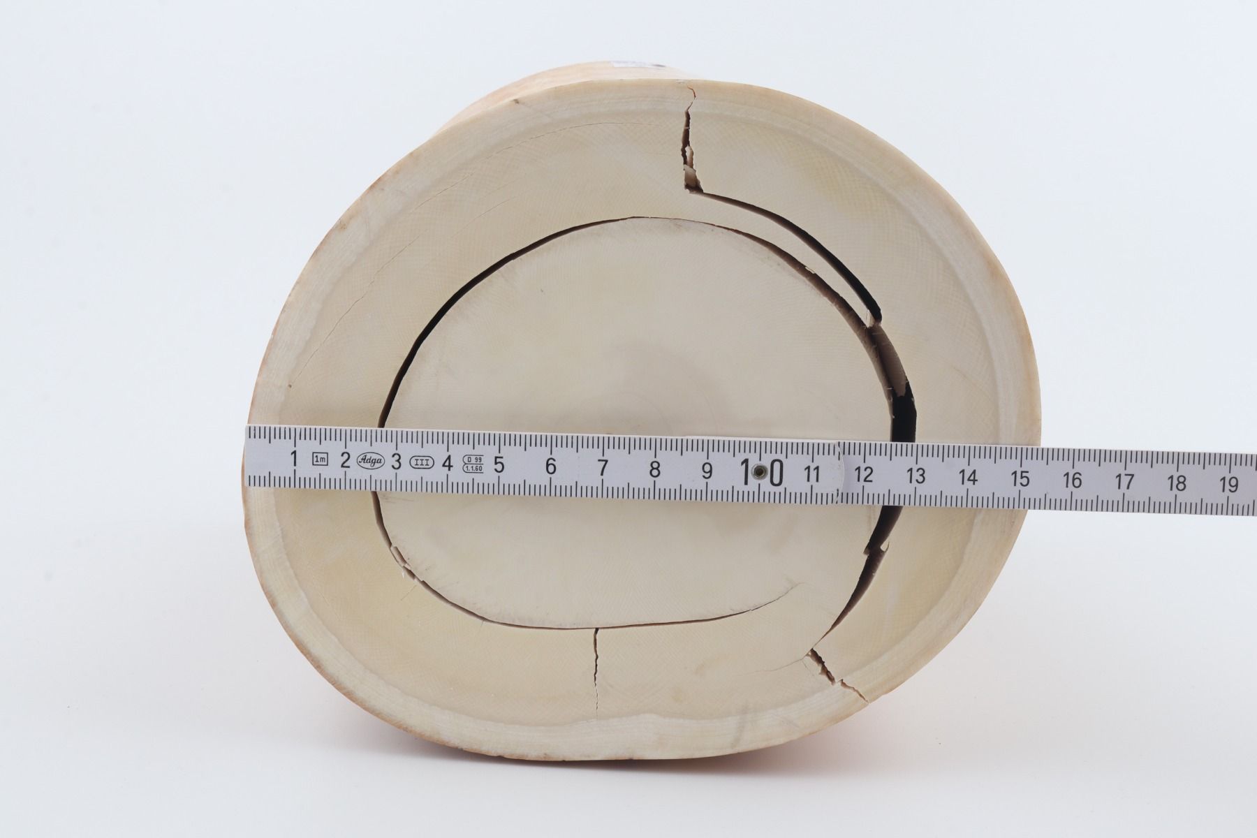 Round mammoth ivory piece
