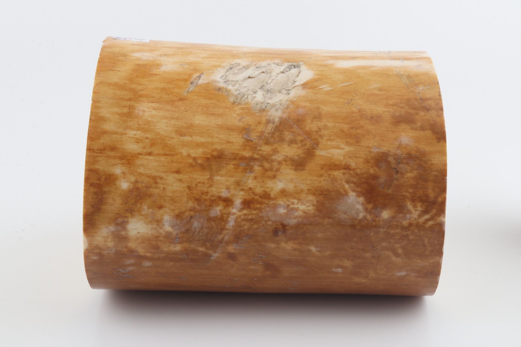 Round mammoth ivory piece