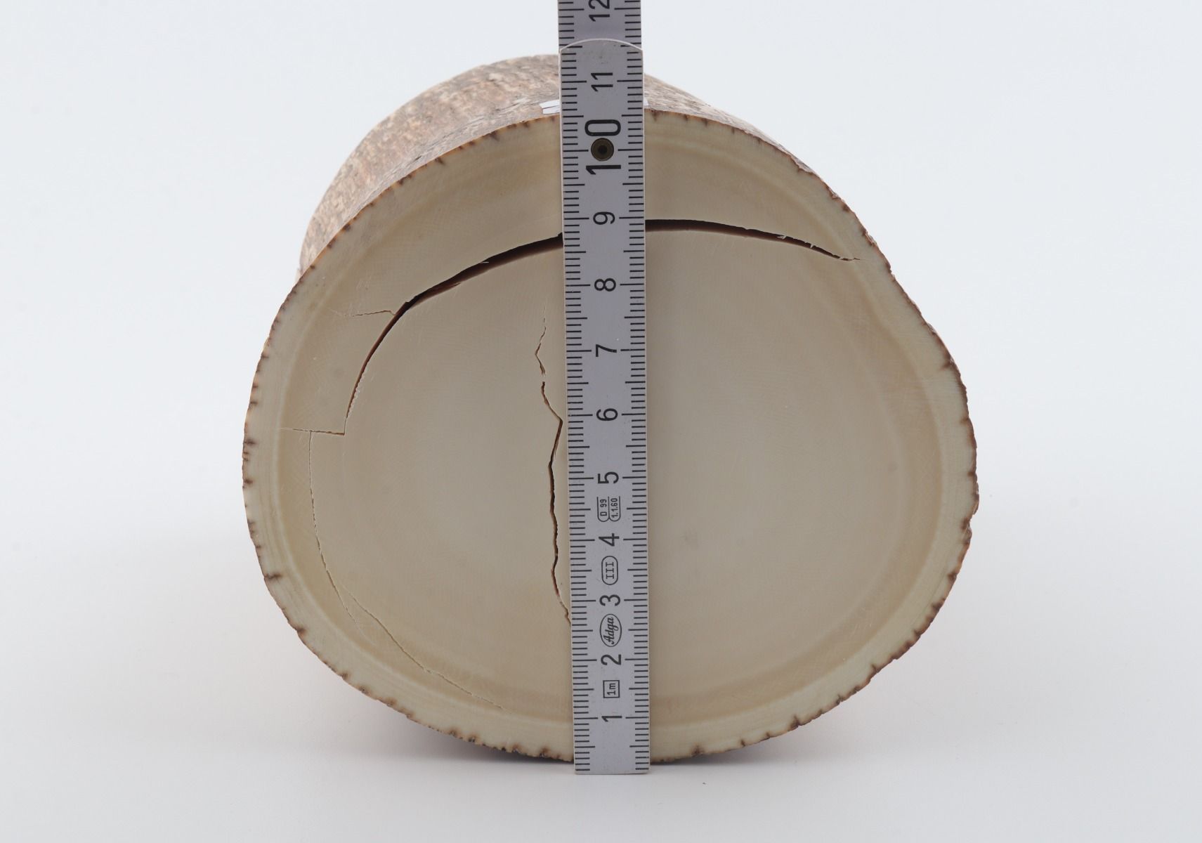 Round mammoth tusk piece