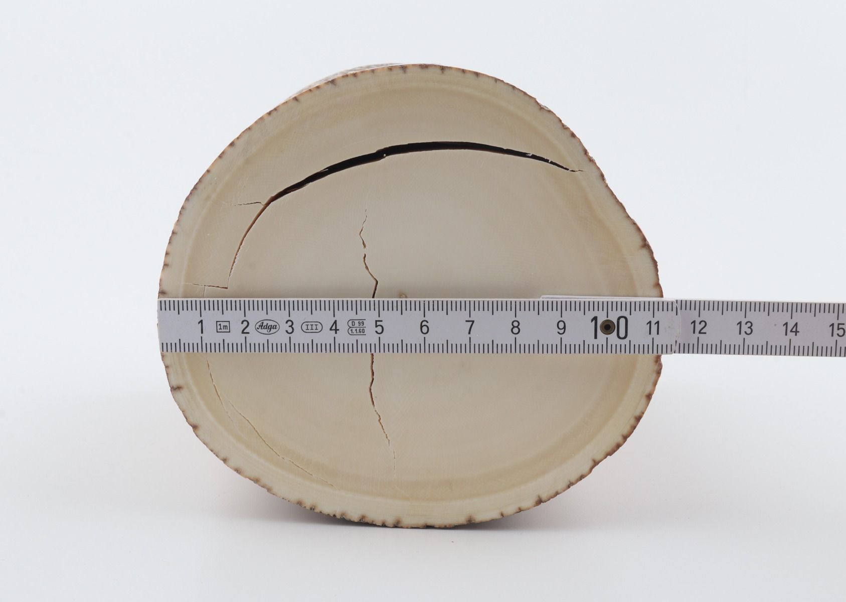 Round mammoth tusk piece