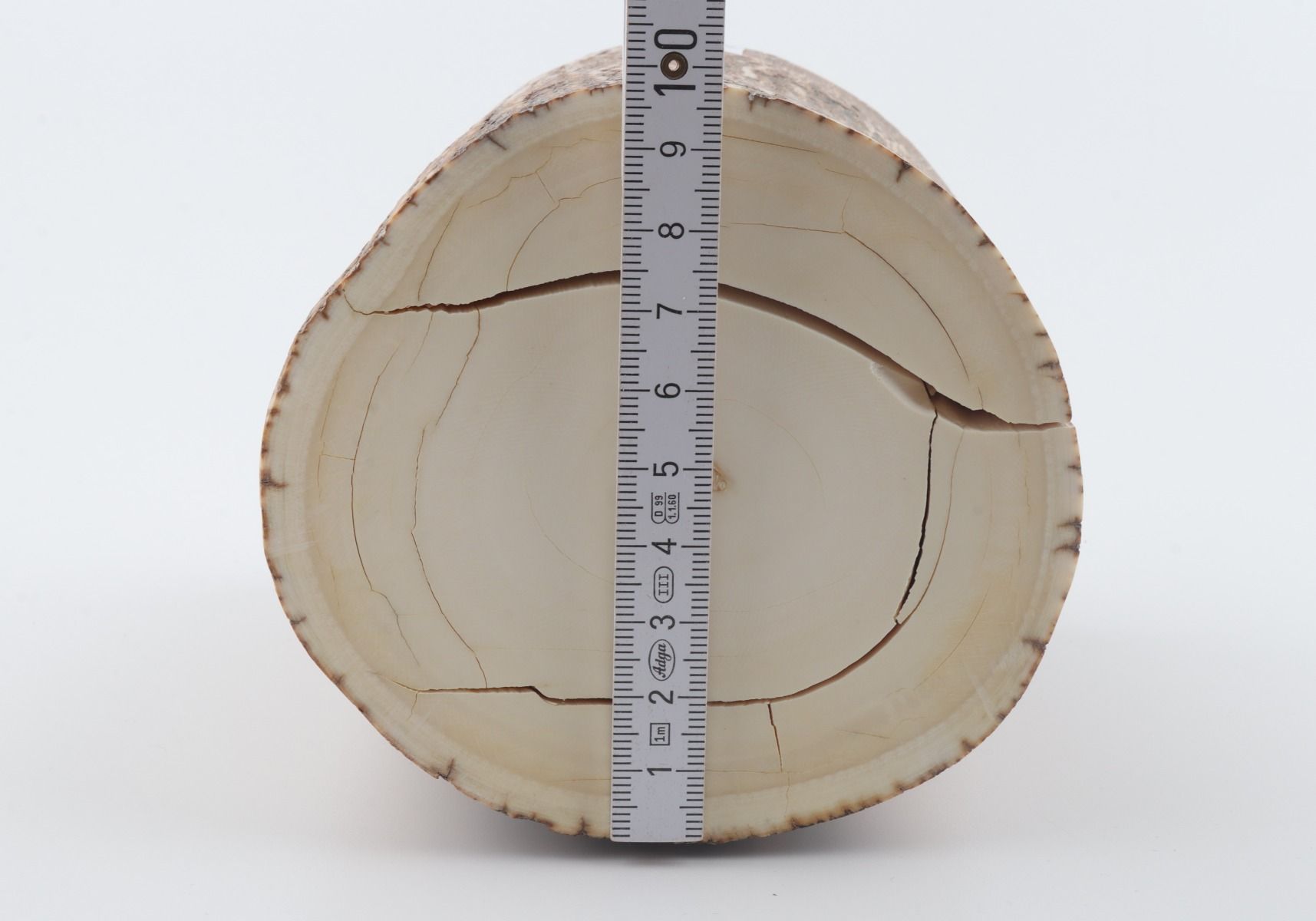 Round mammoth tusk piece