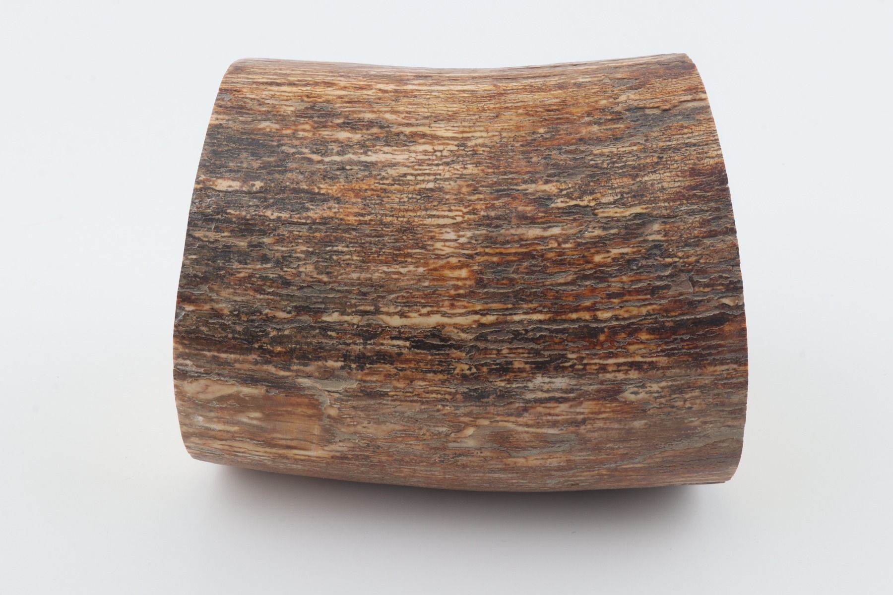 Round mammoth tusk piece