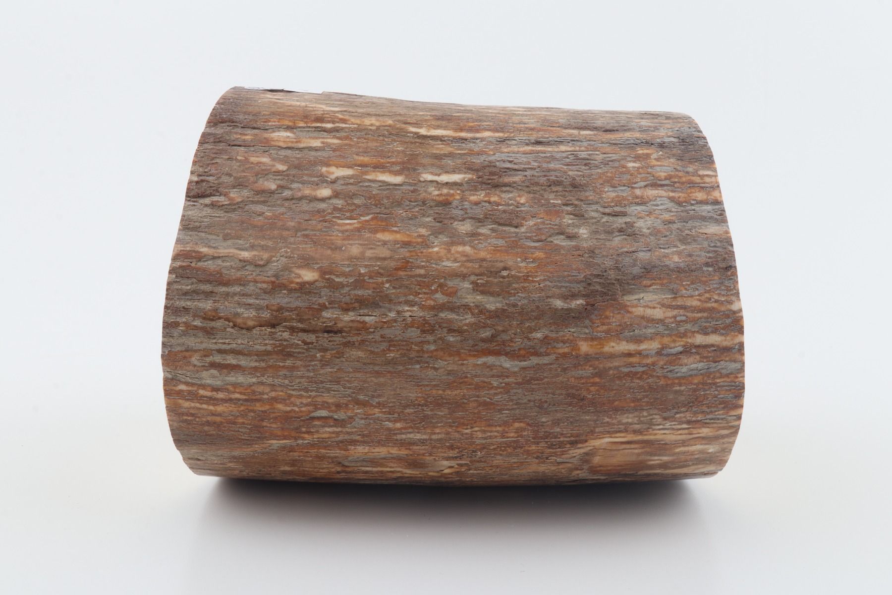 Round mammoth tusk piece