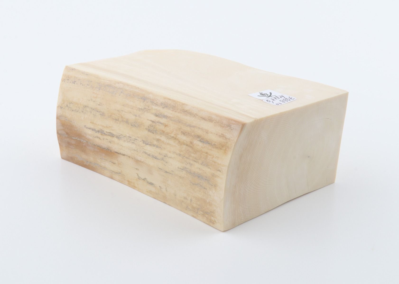 White mammoth ivory segment