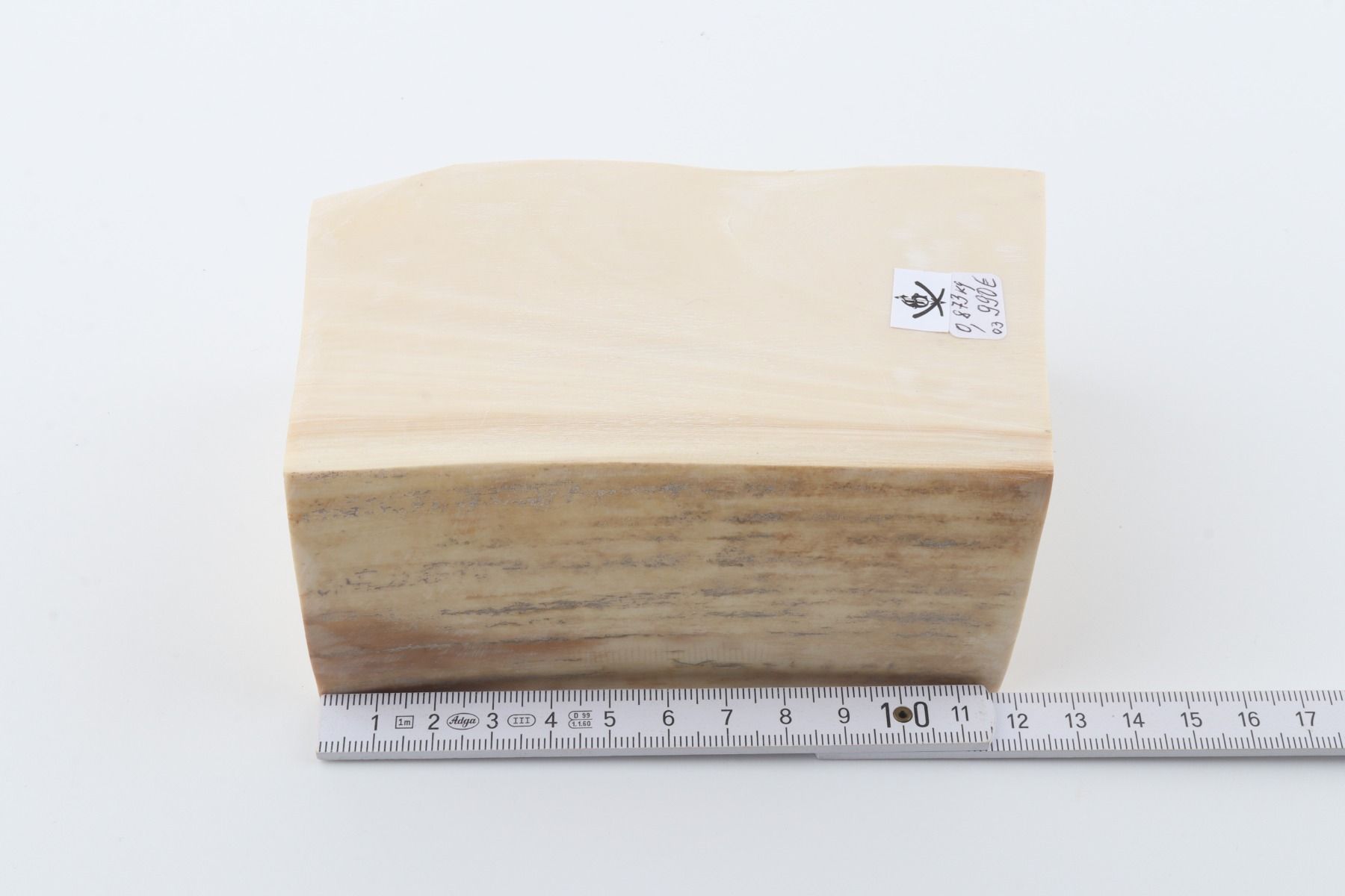 White mammoth ivory segment