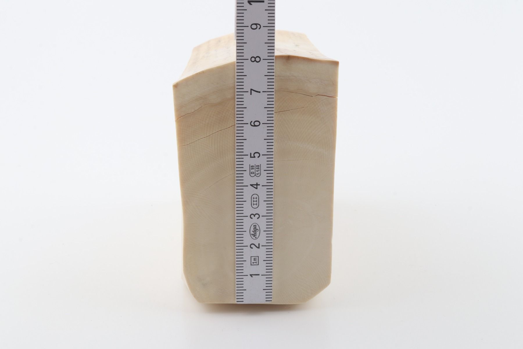 White mammoth ivory segment