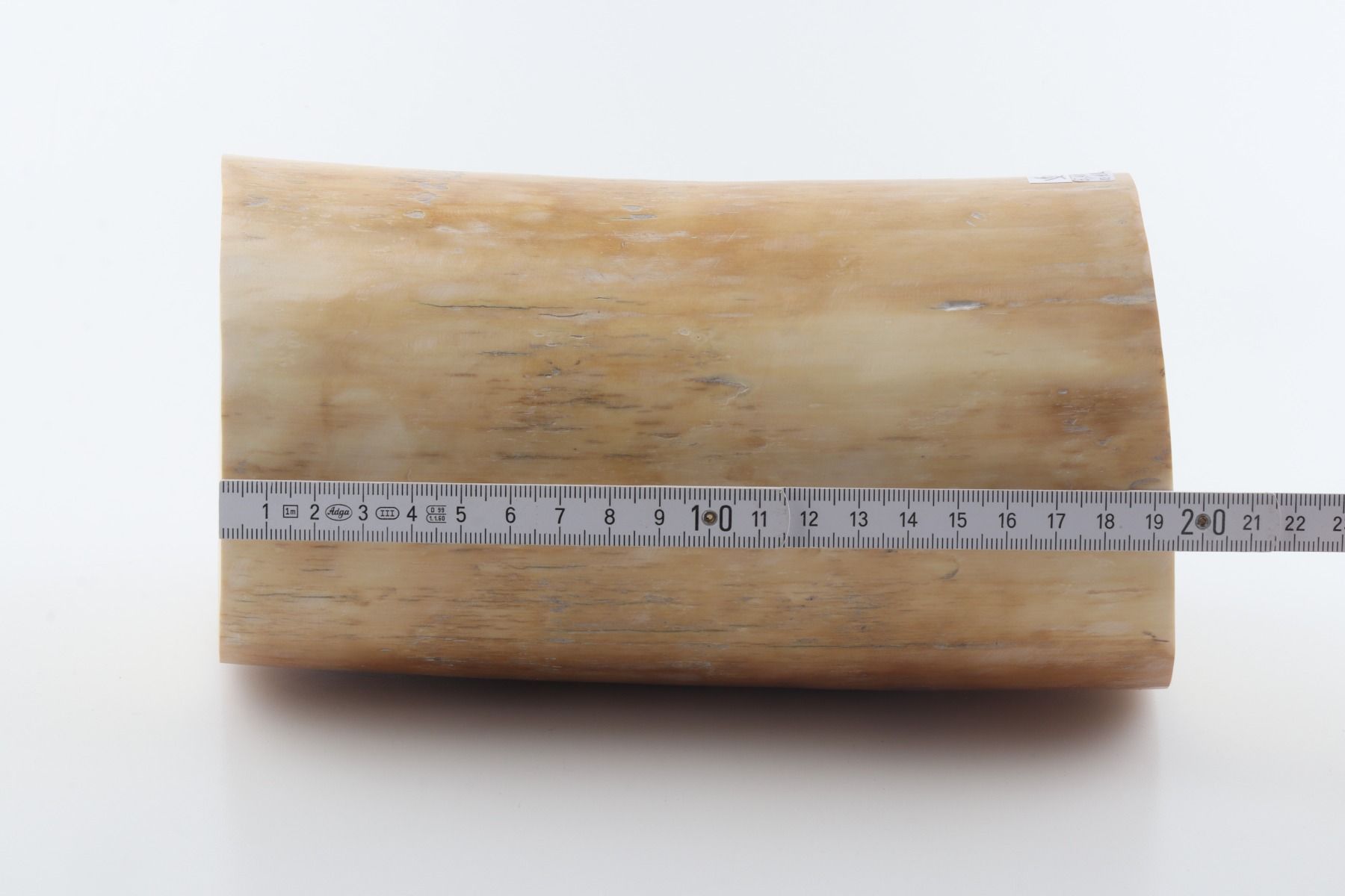 Round mammoth tusk piece