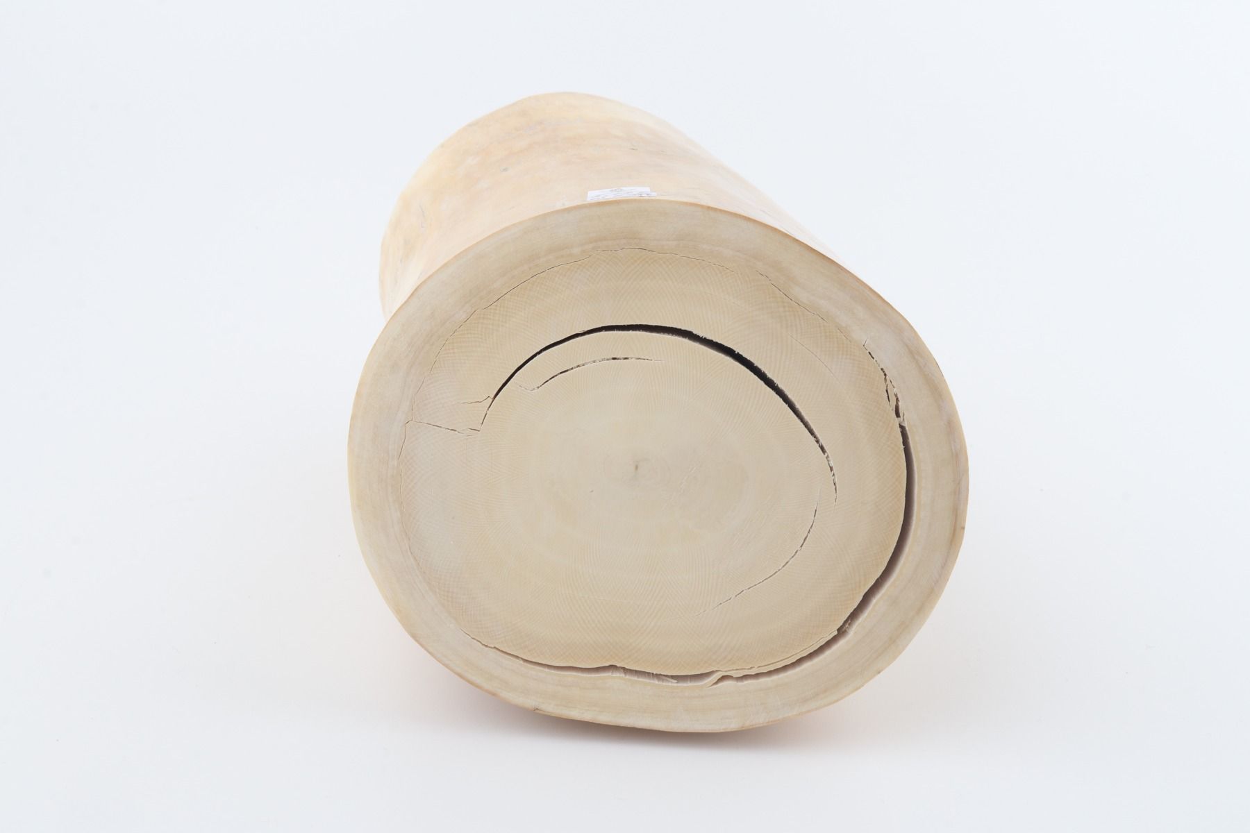 Round mammoth tusk piece