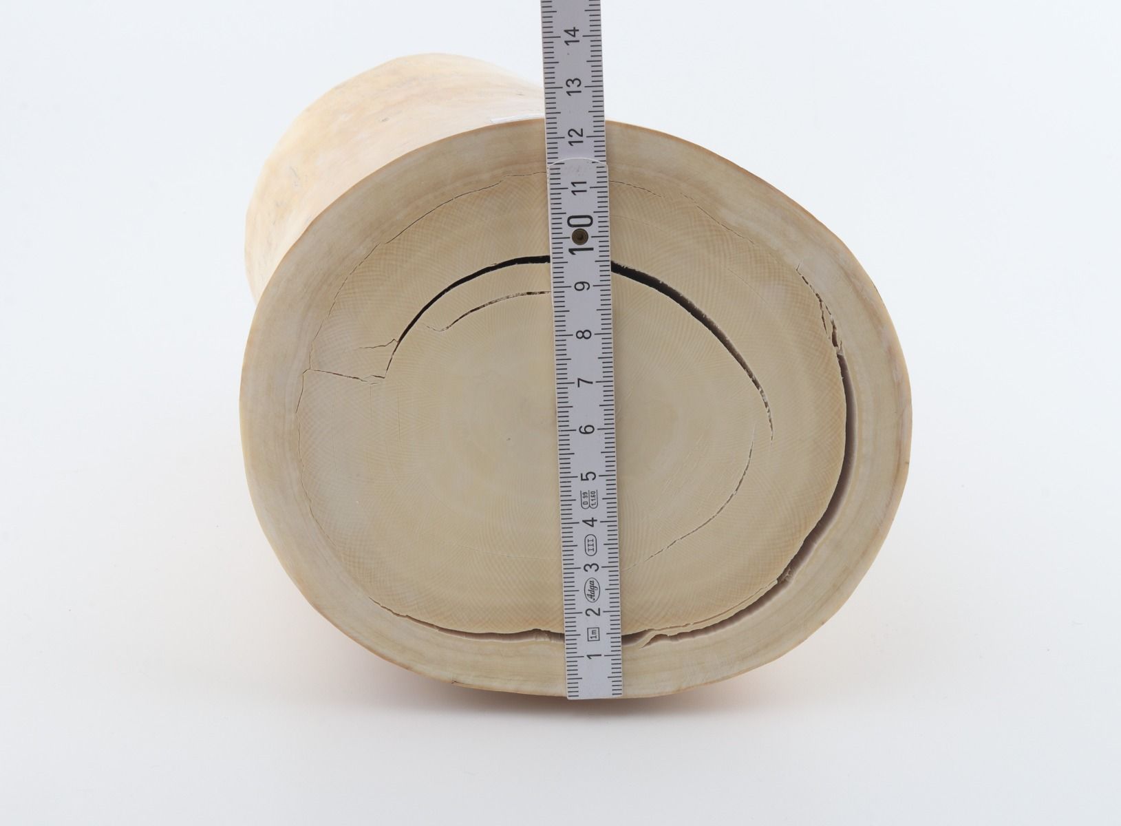 Round mammoth tusk piece