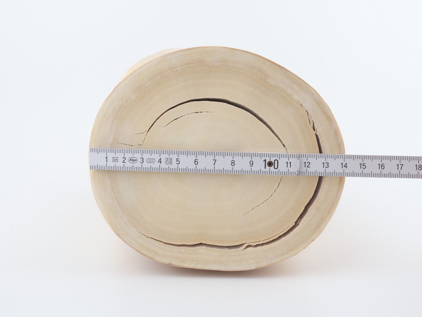 Round mammoth tusk piece
