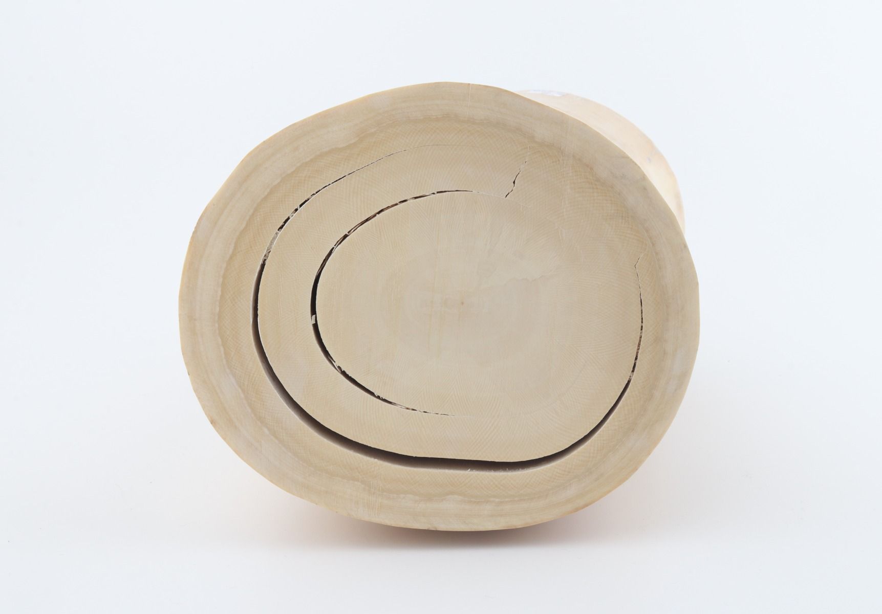 Round mammoth tusk piece