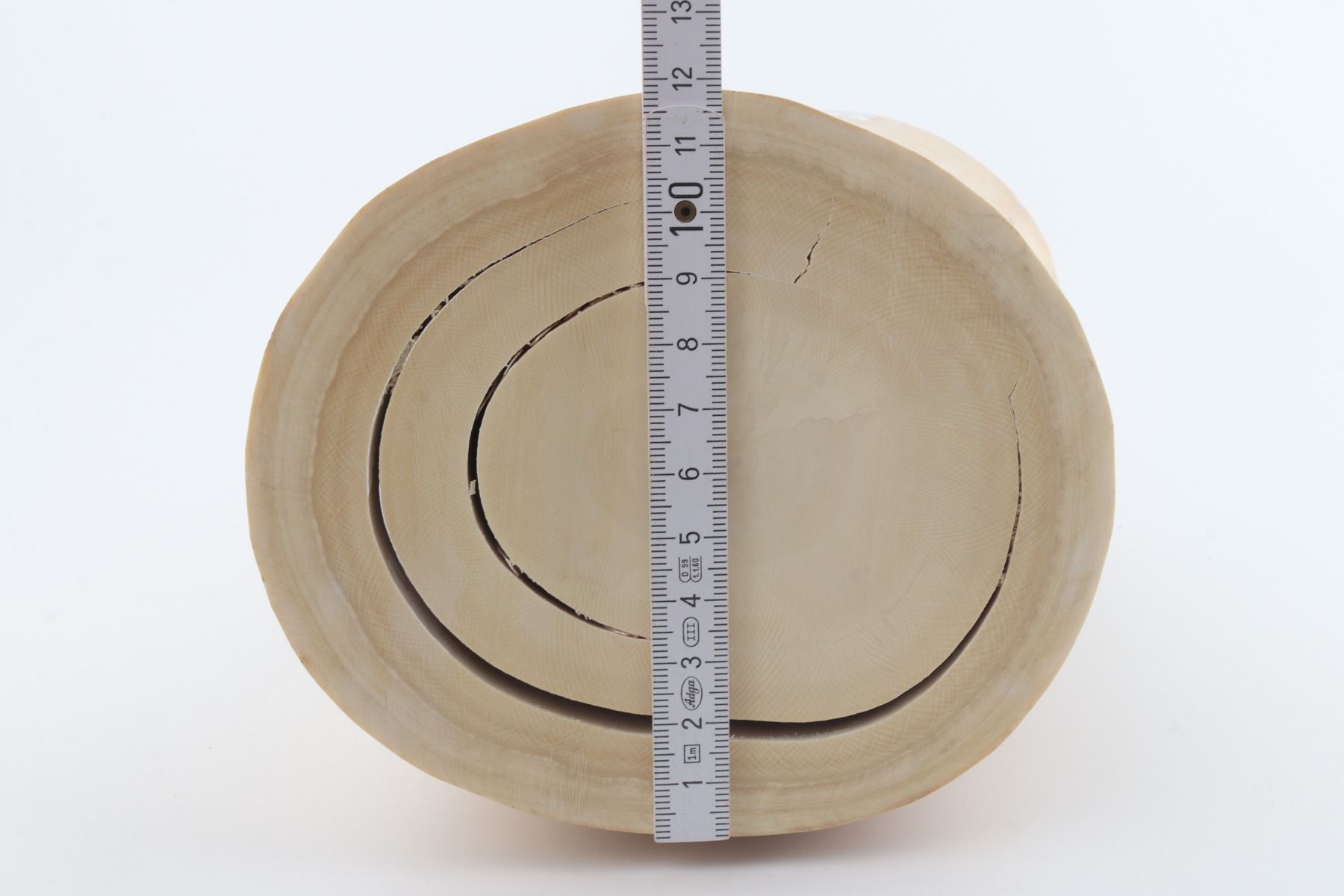 Round mammoth tusk piece