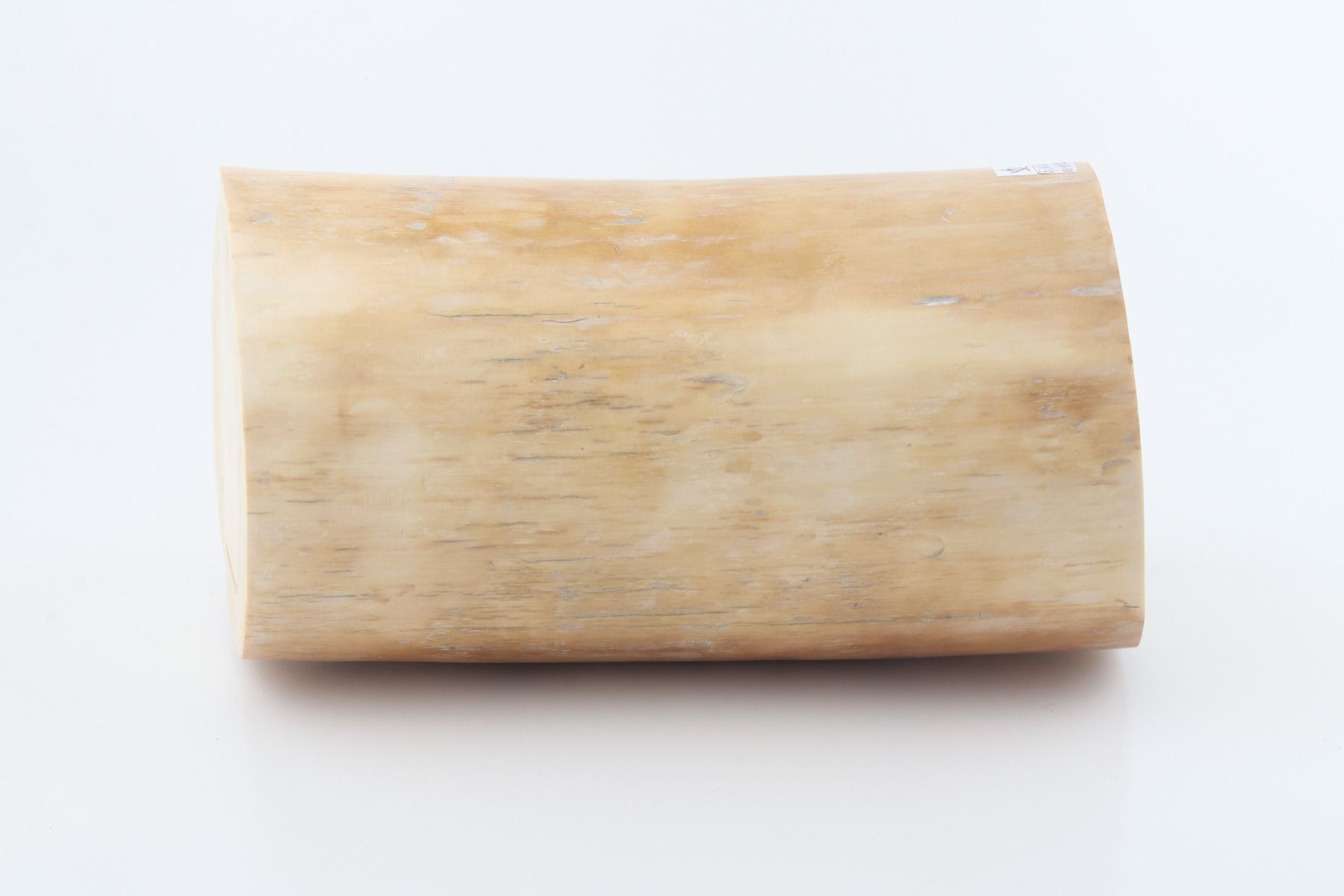 Round mammoth tusk piece