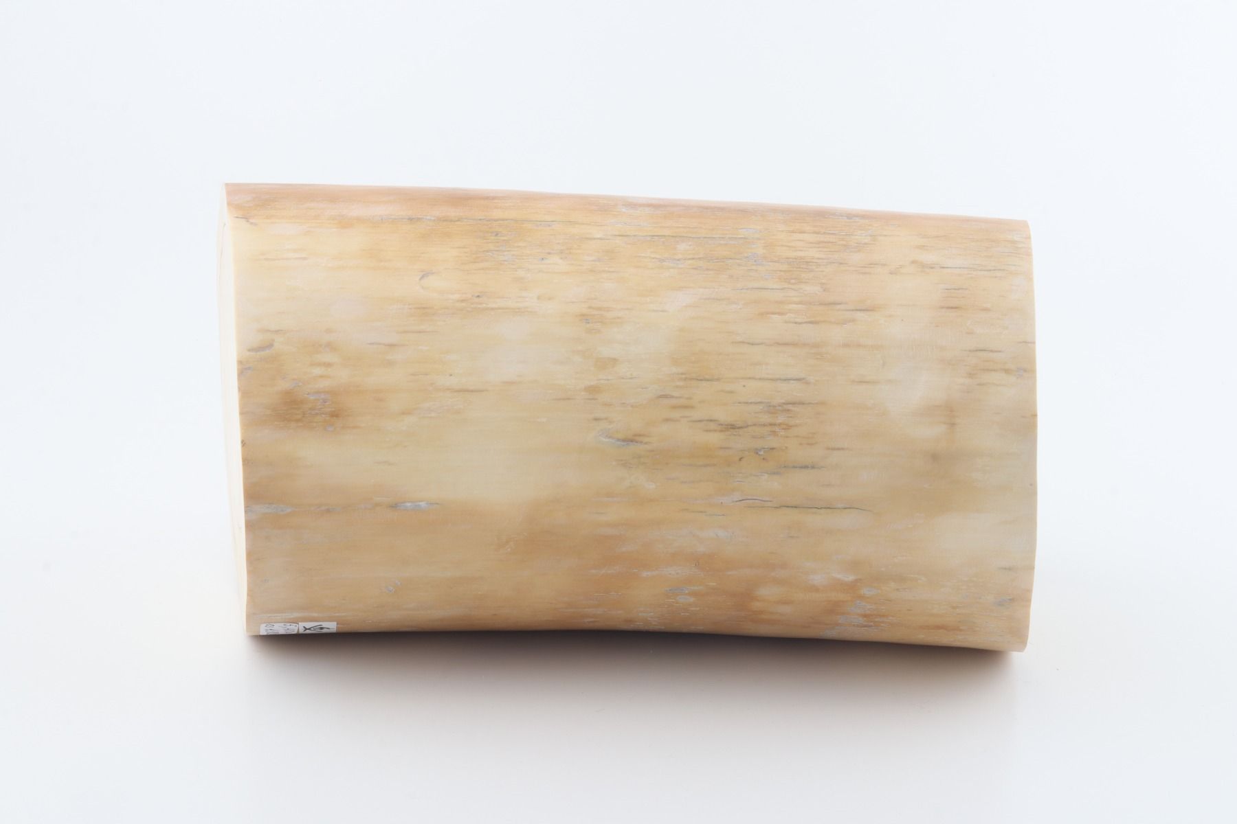 Round mammoth tusk piece