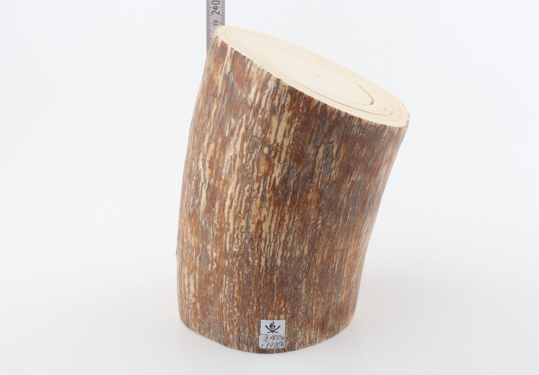 Round mammoth tusk piece