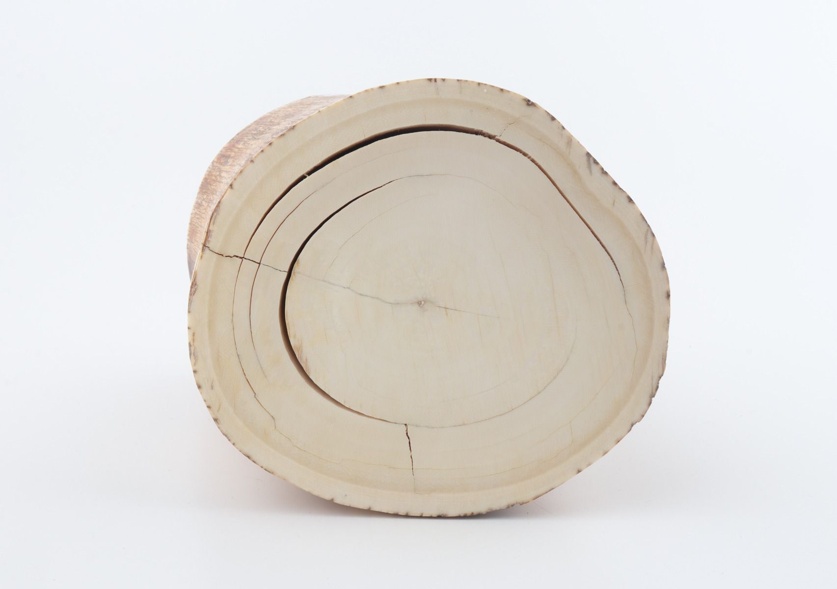 Round mammoth tusk piece