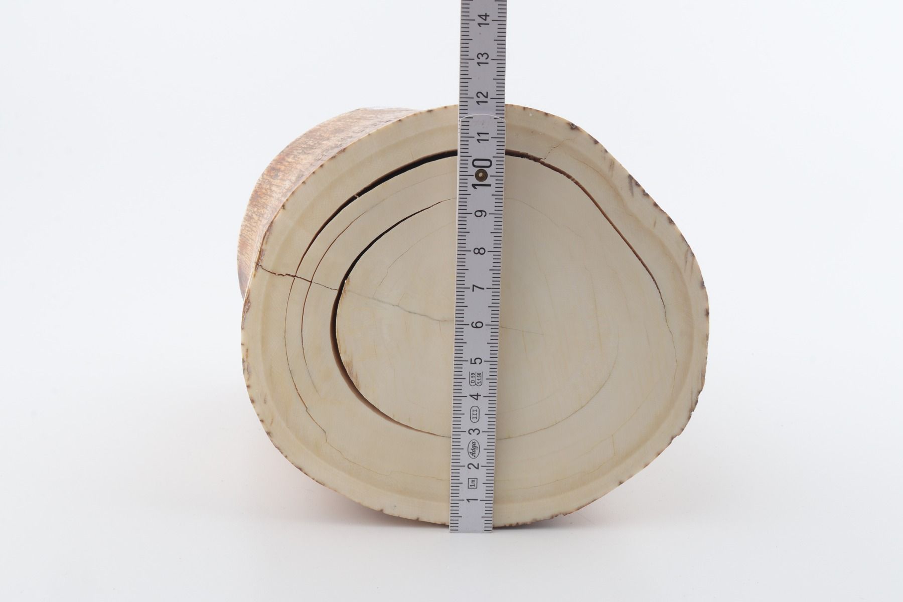 Round mammoth tusk piece