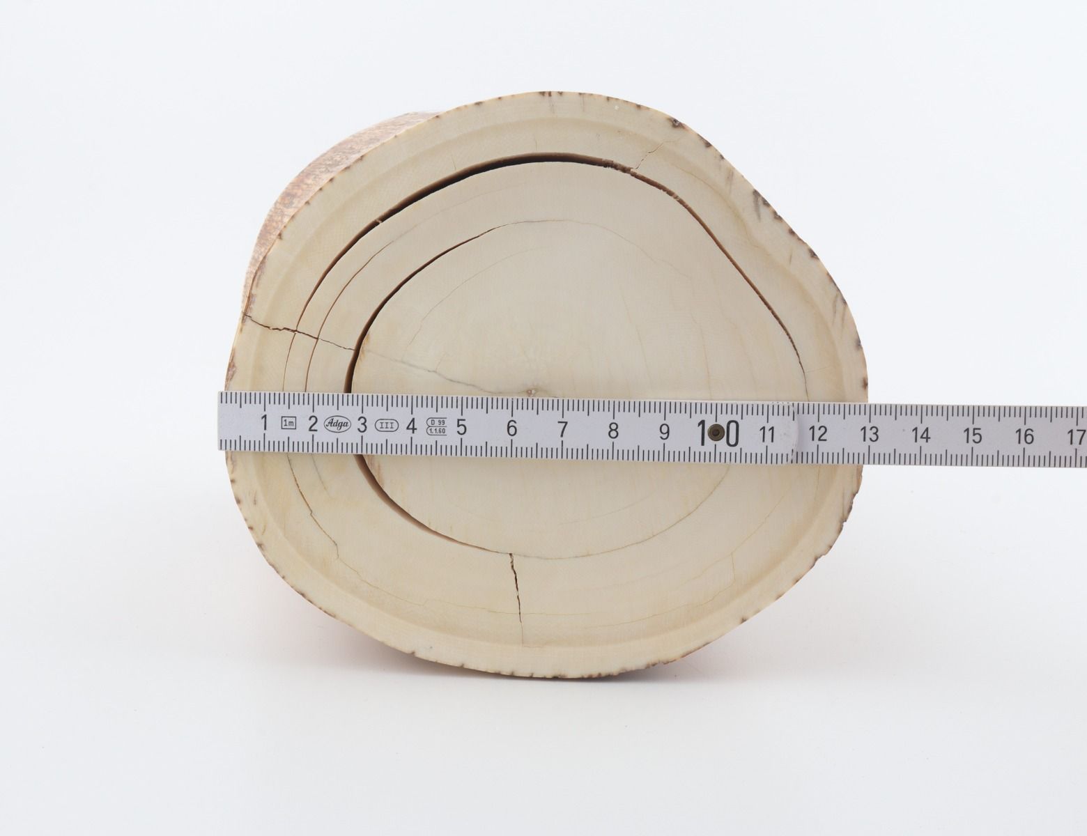 Round mammoth tusk piece