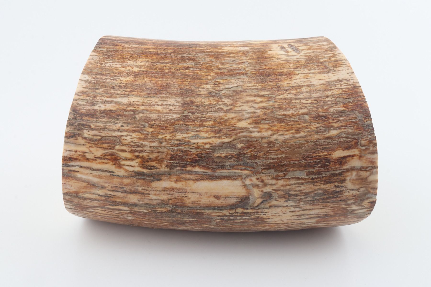 Round mammoth tusk piece