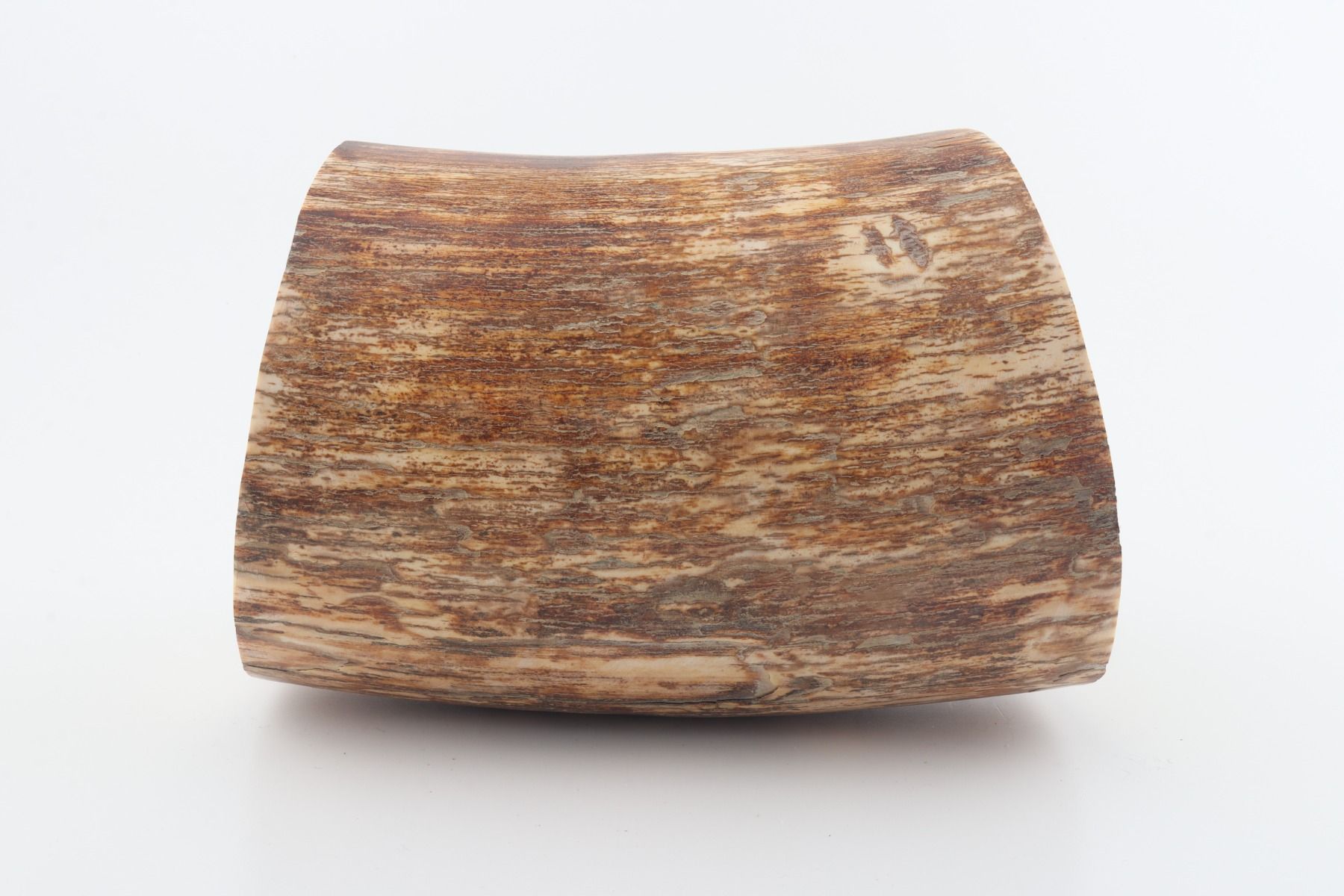 Round mammoth tusk piece