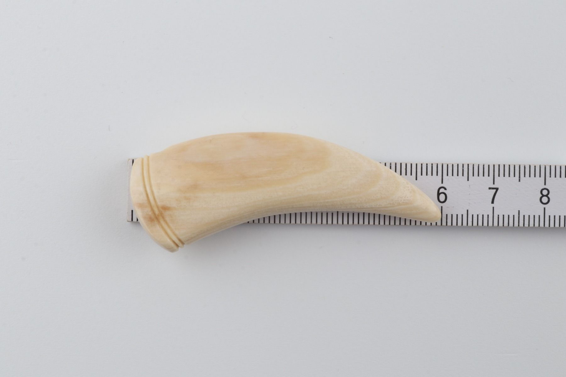 Carved mammoth ivory pendant