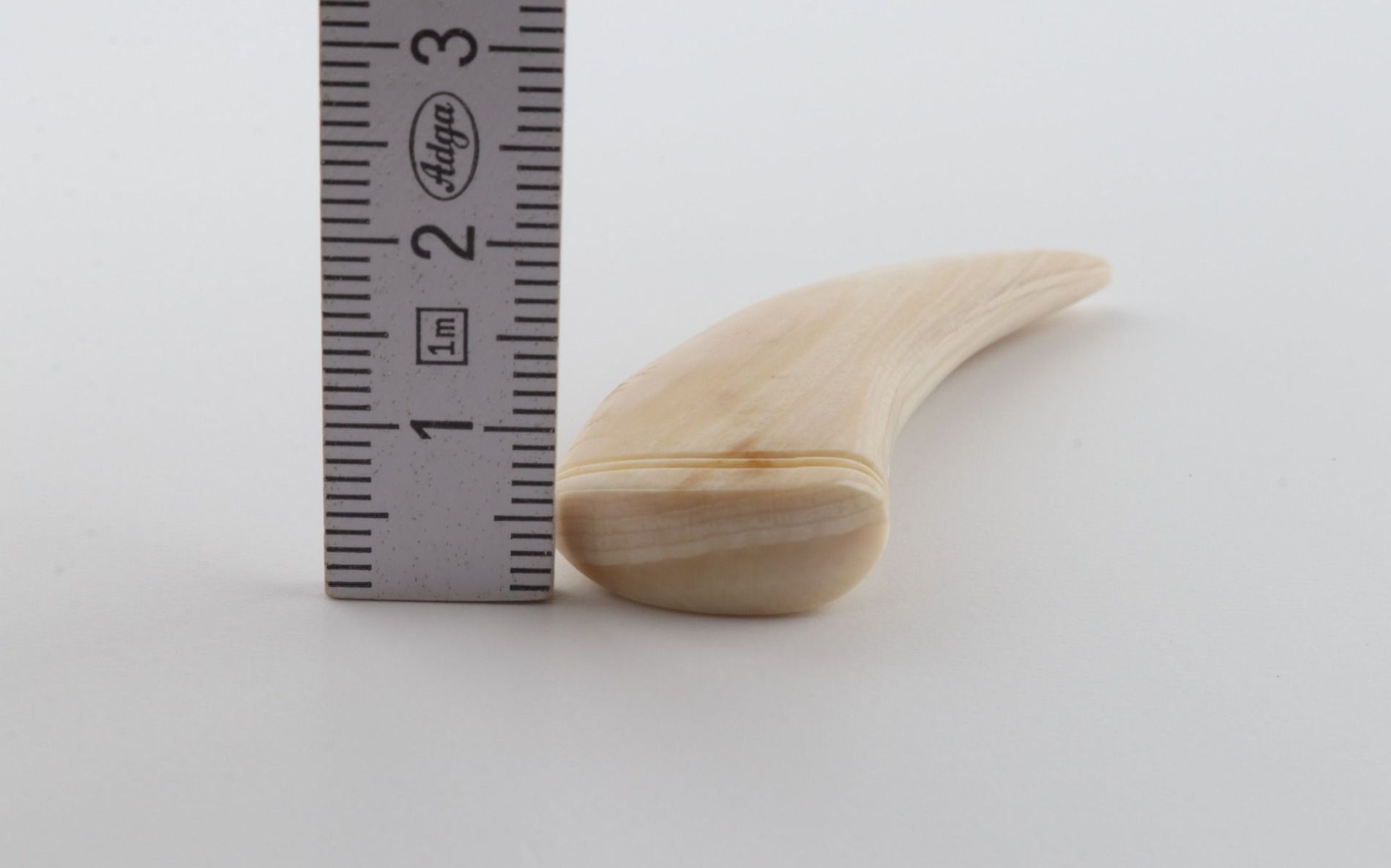 Carved mammoth ivory pendant