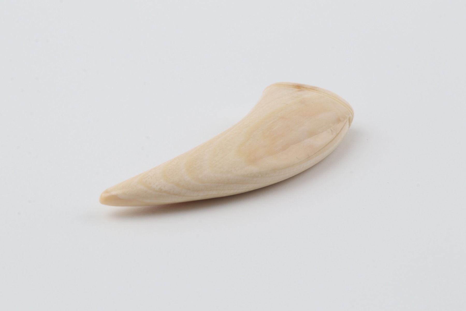 Carved mammoth ivory pendant