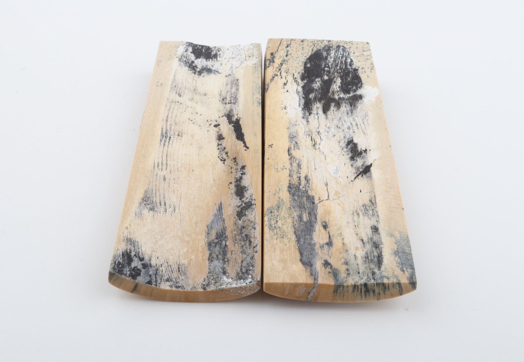 Stabilised mammoth bark scales
