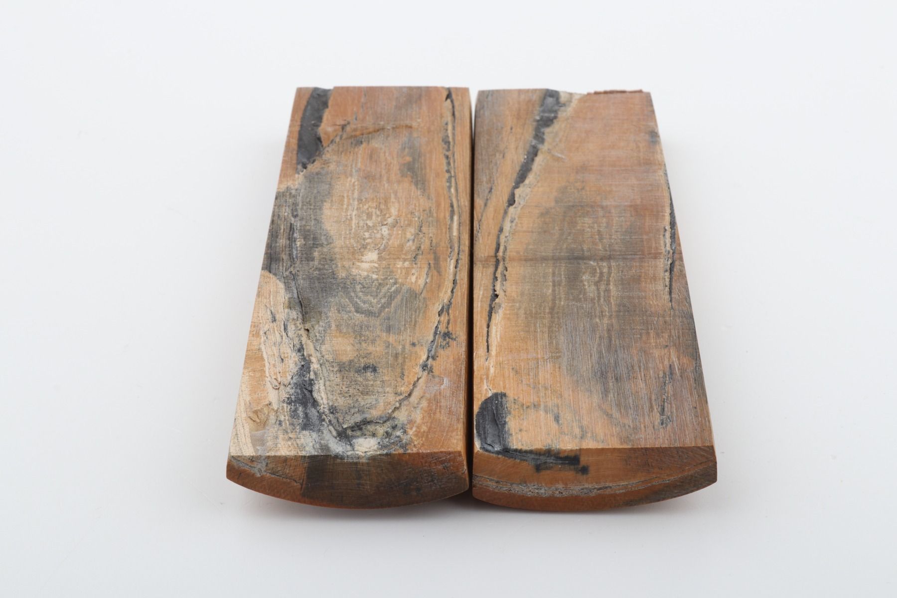 Stabilized mammoth bark scales