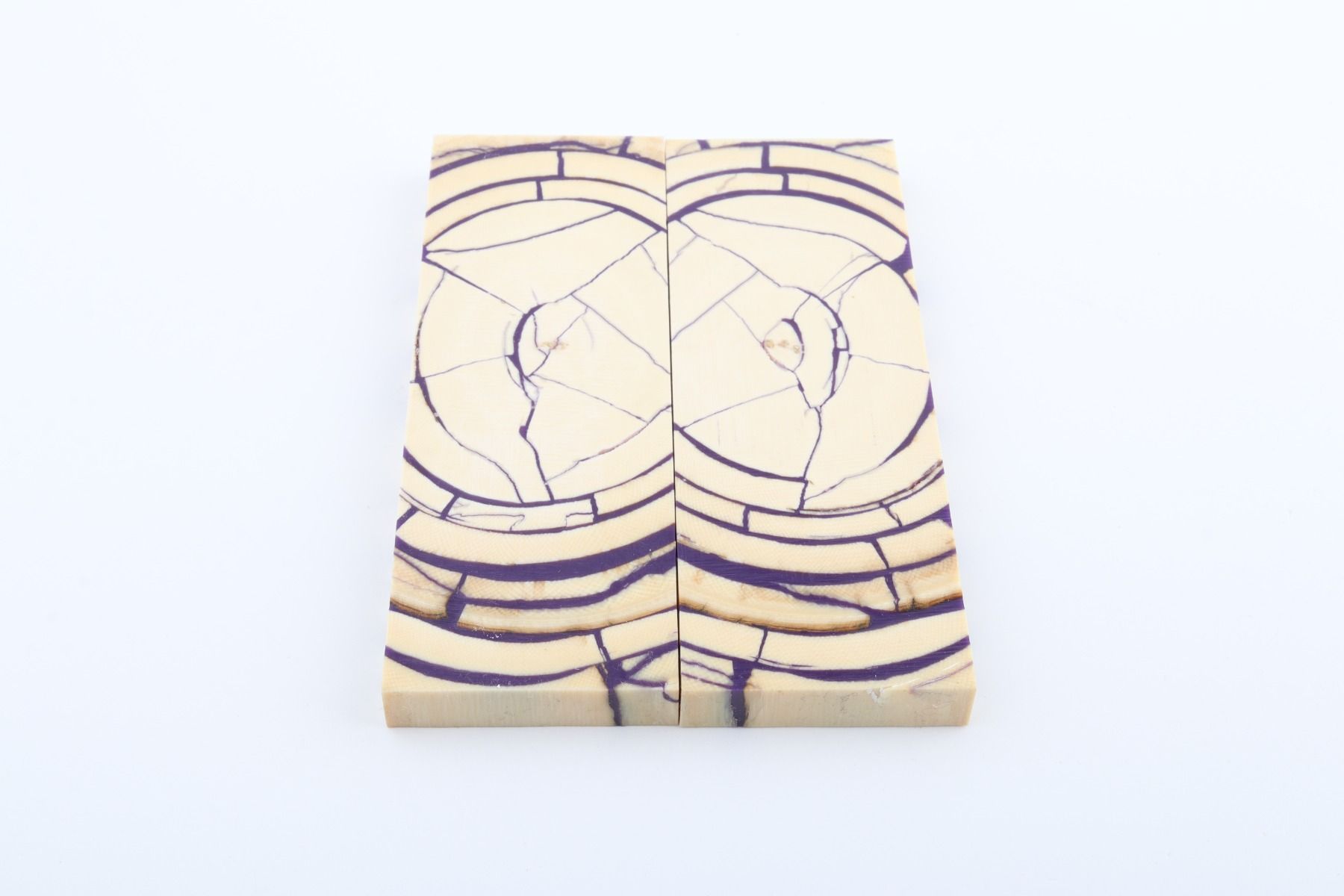 Stabilised mammoth ivory scales