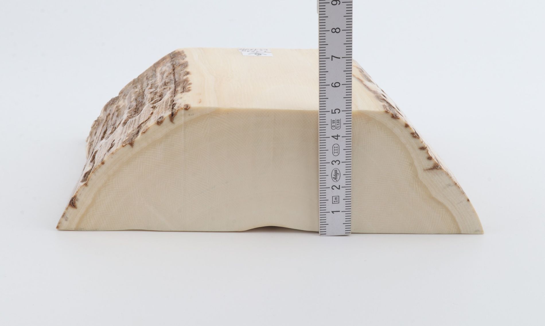 White mammoth ivory segment