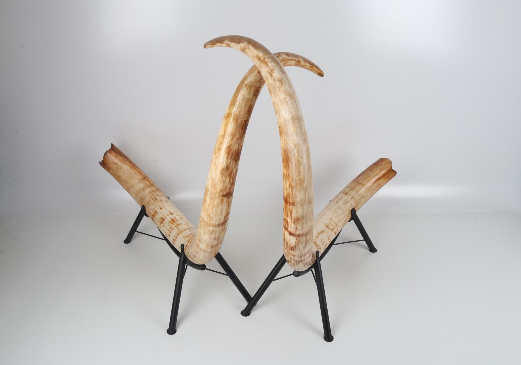 Natural woolly mammoth tusk pair
