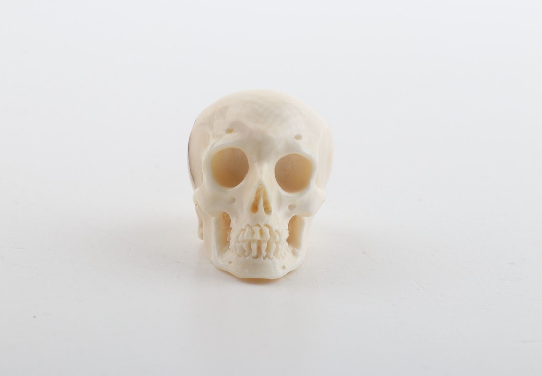 Hand carved mammoth ivory skull