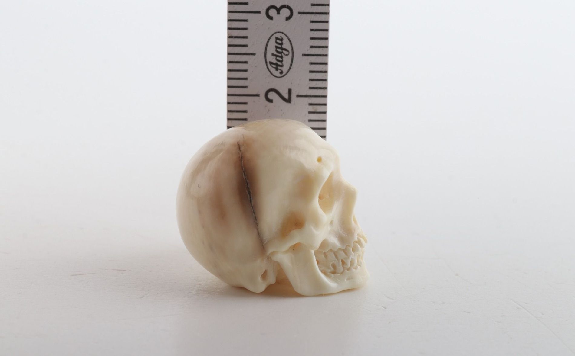 Hand carved mammoth ivory skull