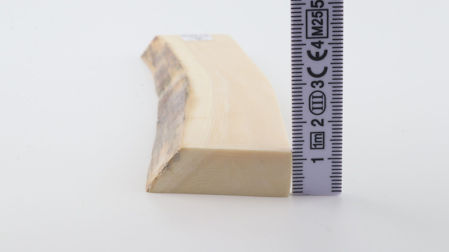 White mammoth ivory segment