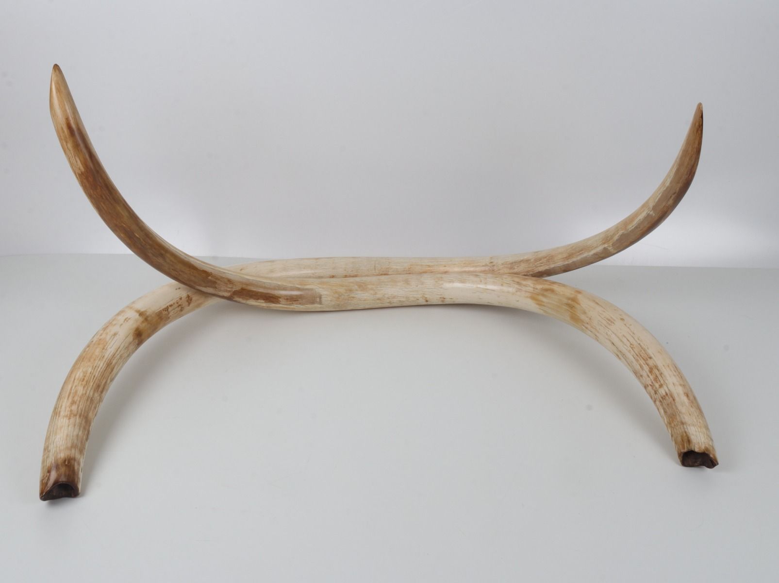 Natural woolly mammoth tusk pair