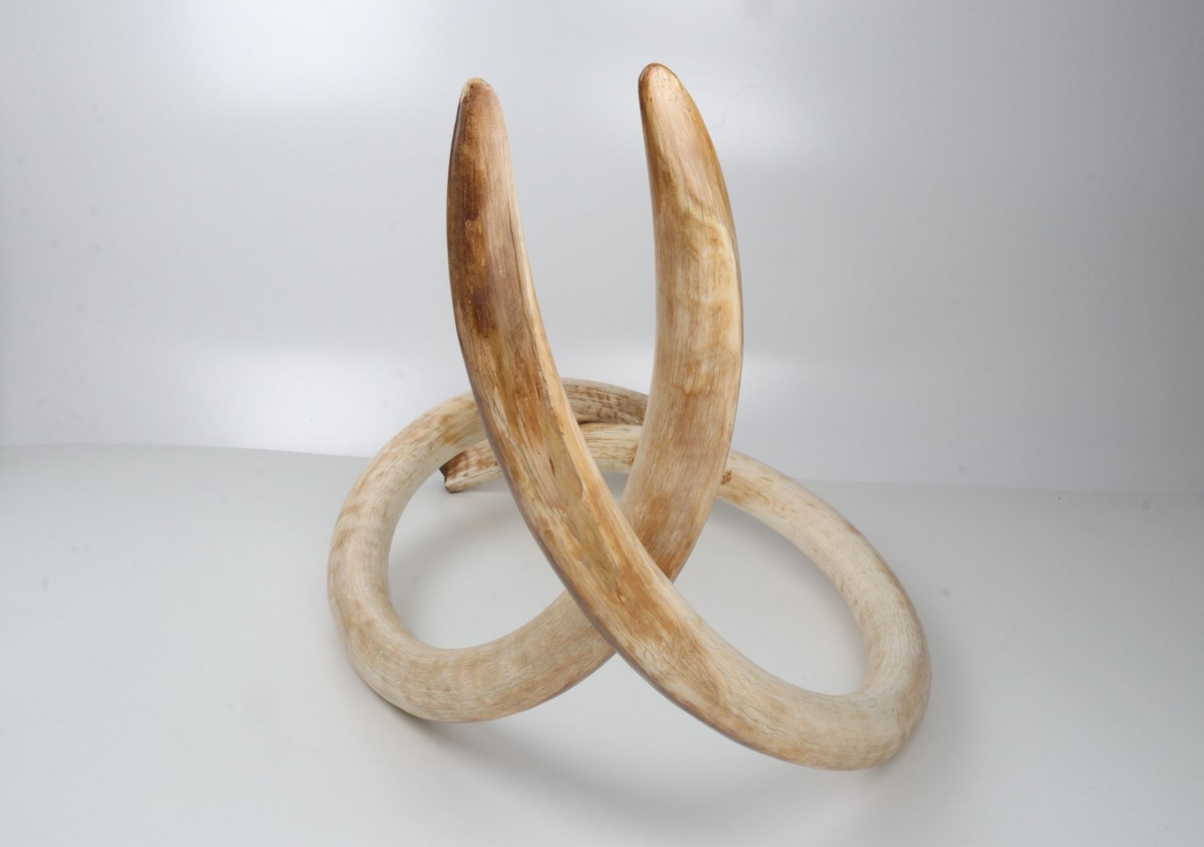 Natural woolly mammoth tusk pair