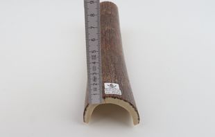 Brown mammoth bark