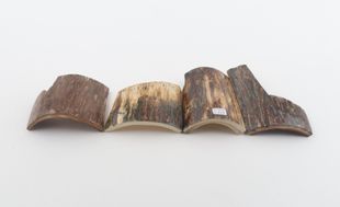 Natural mammoth bark pieces