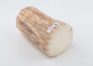 Round mammoth ivory piece