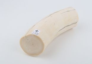 Round mammoth ivory piece