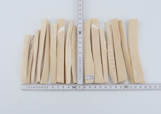 White mammoth ivory pieces