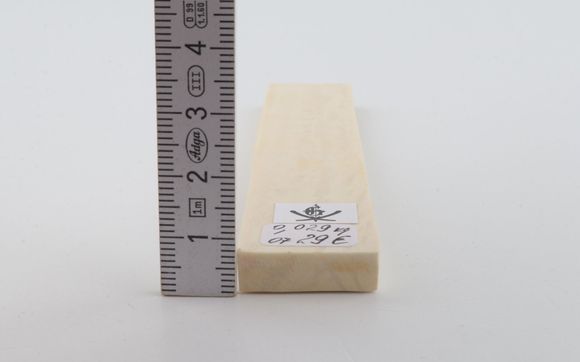 White mammoth ivory segment