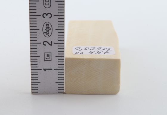 White mammoth ivory segment