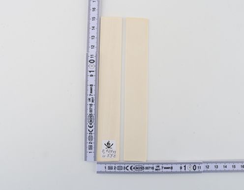 Natural mammoth ivory scales