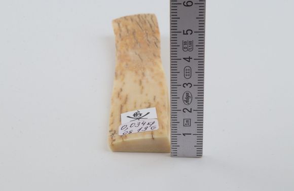 Creme-orange mammoth bark