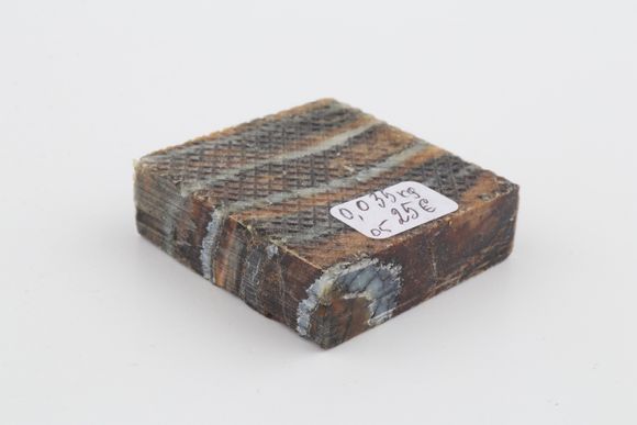 Stabilised mammoth molar piece