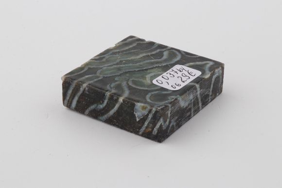 Stabilized mammoth molar block