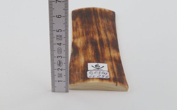 Brown-yellow mammoth bark